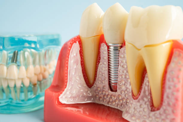 Best Dental Exams and Cleanings  in Goulding, FL